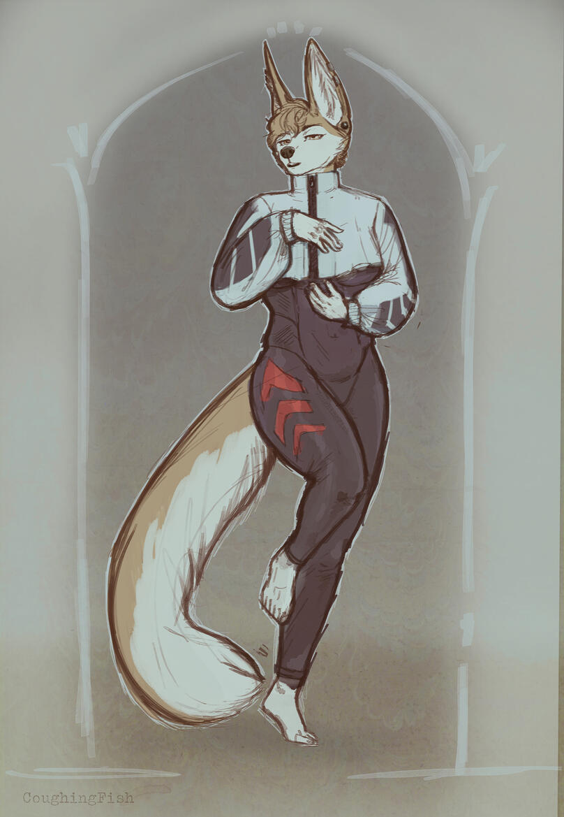 FULLBODY - PUCKFENNEC